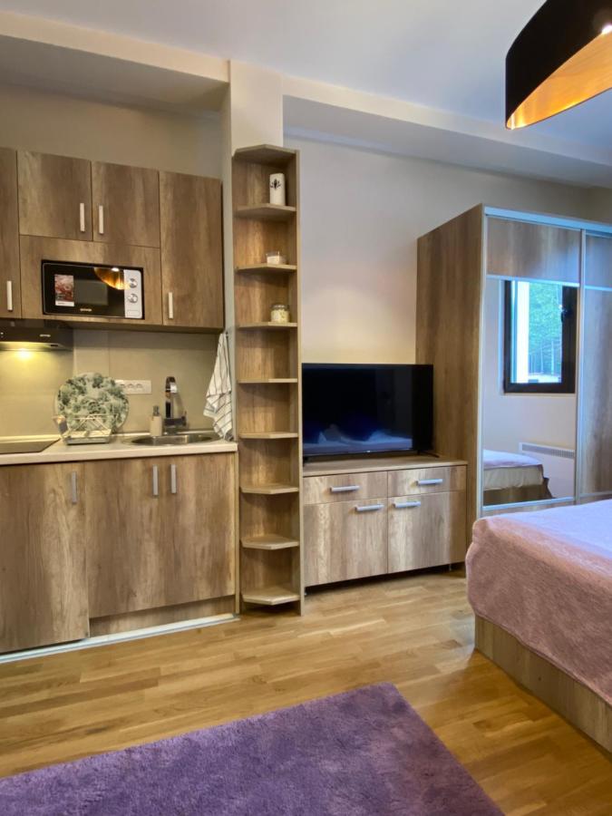 Sanstef Studio Zlatibor Kültér fotó