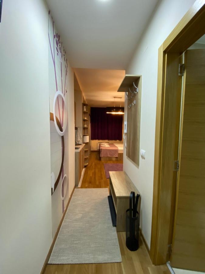 Sanstef Studio Zlatibor Kültér fotó